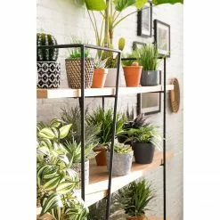 Studio Copenhagen Regal Anadyr - Schwarz / Esche -Büromöbel Verkaufsgeschäft 1000007393 181114 11415201 GALLERYIMAGES P000000001000007393