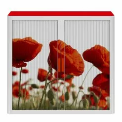 EasyOffice by Paperflow Rollladenschrank easyOffice Nature - Rot 10 EasyOffice by Paperflow Rollladenschrank easyOffice Nature - Rot -Büromöbel Verkaufsgeschäft 1000071485 210831 09455500003 DETAILS P000000001000071485