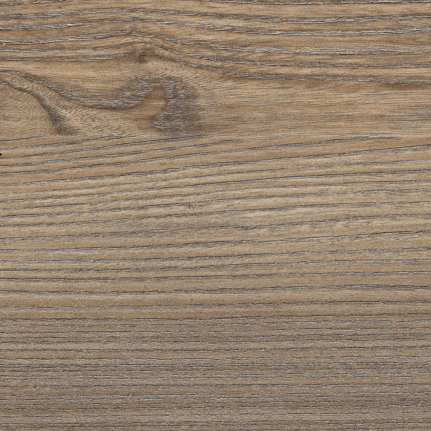 Ridgevalley Regal Pontile - Pinie Aurelio Dekor / Eiche Nelson Dekor 5 Ridgevalley Regal Pontile - Pinie Aurelio Dekor / Eiche Nelson Dekor – Bild 3