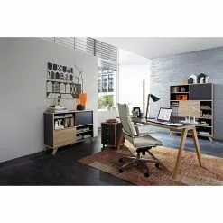 Germania Sideboard Svene - Anthrazit / Eiche Sonoma Dekor - Breite: 120 cm 12 Germania Sideboard Svene - Anthrazit / Eiche Sonoma Dekor - Breite: 120 cm -Büromöbel Verkaufsgeschäft 1000166773 190329 13033300155 MOOD GALLERYIMAGES P000000001000166773 mood