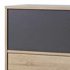 Germania Sideboard Svene - Anthrazit / Eiche Sonoma Dekor - Breite: 120 cm 14 Germania Sideboard Svene - Anthrazit / Eiche Sonoma Dekor - Breite: 120 cm -Büromöbel Verkaufsgeschäft 1000166773 190329 13033300157 GALLERYIMAGES P000000001000166773