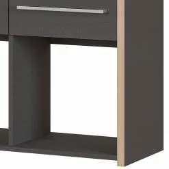 Germania Aktenregal Eugene - Anthrazit / Nussbaum Dekor -Büromöbel Verkaufsgeschäft 1000189458 191113 10262600012 DETAILS P000000001000189458