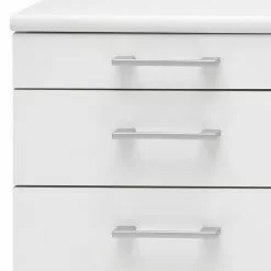 Furnitive Standcontainer Lezan - Silber - Weiß -Büromöbel Verkaufsgeschäft 1000191323 191031 16045500050 DETAILS P000000001000191323