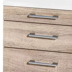 Furnitive Standcontainer Lezan - Silber - Eiche Sonoma Dekor / Weiß -Büromöbel Verkaufsgeschäft 1000191326 191031 16045500061 DETAILS P000000001000191326