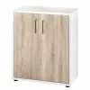 Furnitive Aktenschrank Lezan III - Eiche Sonoma Dekor / Weiß 1 Furnitive Aktenschrank Lezan III - Eiche Sonoma Dekor / Weiß -Büromöbel Verkaufsgeschäft 1000191344 191031 16045800116 IMAGE P000000001000191344