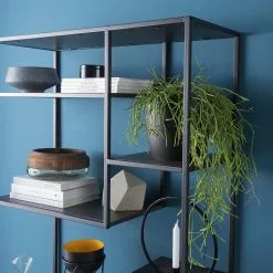 Fredriks Regal Meon IV - Eiche Grau Dekor -Büromöbel Verkaufsgeschäft 1000201075 201120 14481400003 DETAILS P000000001000201075