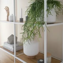 Fredriks Regal Meon III - Eiche Dekor - Breite: 101 cm -Büromöbel Verkaufsgeschäft 1000213233 201124 10313600029 DETAILS P000000001000213233