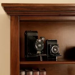 Ridgevalley Regal Brieux II - Echtholzfurnier - Tulpenbaum Antik -Büromöbel Verkaufsgeschäft 1000230623 201113 12540800093 DETAILS P000000001000230623