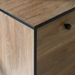 Red Living Sideboard Trylith I - Eiche Rustikal Dekor / Schwarz -Büromöbel Verkaufsgeschäft 1000364622 220719 055 DETAILS P000000001000364622