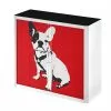 EasyOffice by Paperflow Rollladenschrank easyOffice Pop Art Dog - Weiß / Rot -Büromöbel Verkaufsgeschäft aktenschrank easyoffice pop art dog weiss rot 1956274
